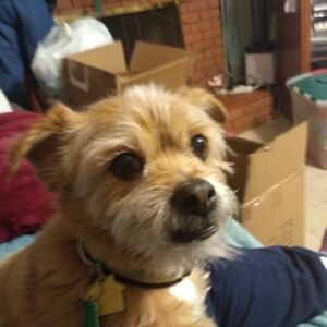 Meet your Posher, Ange